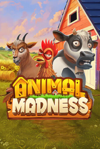 Игра Animal Madness от Play'n GO | Чемпион Слотс Казино 