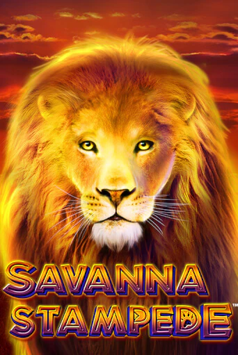 Игра Savanna Stampede от Blueprint Gaming | Чемпион Слотс Казино 