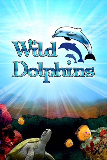 Игра Wild Dolphins от Bragg | Чемпион Слотс Казино 
