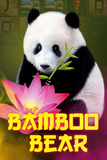 Игра Bamboo Bear от Mascot Gaming | Чемпион Слотс Казино 